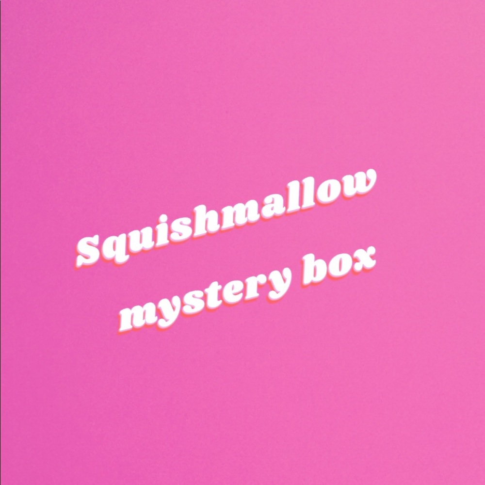 New with tags mystery box